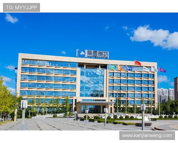 2. 探索k8凯发在中国市场的成功秘诀打造天生赢家的最佳选择