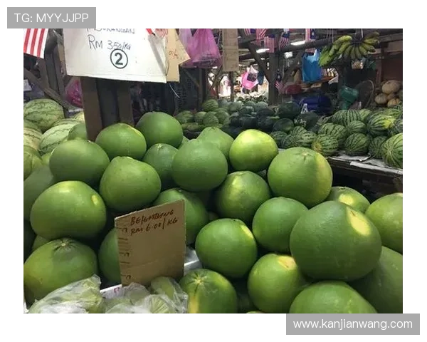 沙巴真人娱乐的安全保障措施，保障玩家资金与个人信息安全