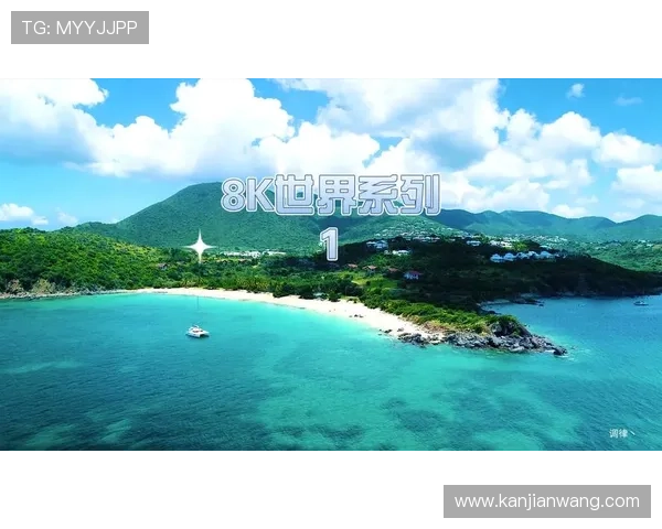 PA视讯厅最新2026版体验指南携手专业主播享受极致视听盛宴